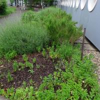 Gustave_Eiffel_2024 (8).jpg