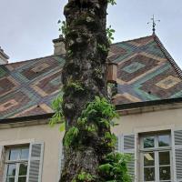Habitat-faune.jpg