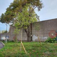 Hall_Magenta_Pantin©Arp-Astrance_2022 (9).jpg