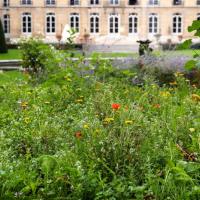 Hotel_Matignon©Arp-Astrance_2022 (5).jpg