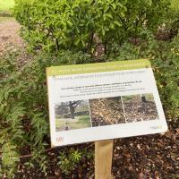 IMG_0124.JPEG