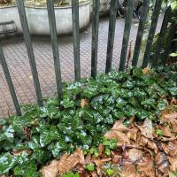 IMG_0151.JPEG