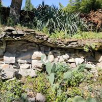 Iloz_SPL_Segapal©Alticime_2023 (14).jpg