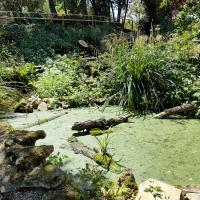 Iloz_SPL_Segapal©Alticime_2023 (5).jpg