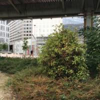 Jardin_Arche_ParisLaDefense©Arp-Astrance_2022 (3).JPG