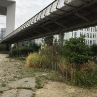 Jardin_Arche_ParisLaDefense©Arp-Astrance_2022 (4).JPG