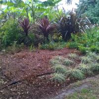 Jardin_Brascassat-Bordeaux%C2%A9Oreade-Breche_2016%20%2812%29.jpg