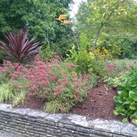 Jardin_Brascassat-Bordeaux%C2%A9Oreade-Breche_2016%20%289%29.jpg