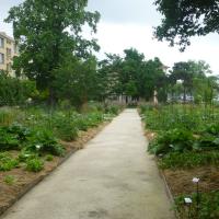 Jardin_Dominique_Godron_Nancy©Urban&amp;amp;Sens_2021_10.JPG
