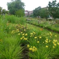 Jardin_Dominique_Godron_Nancy©Urban&amp;amp;Sens_2021_20.JPG
