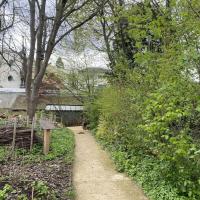 Jardin_Maison_Nature_Arbre_GPSO©Arp-Astrance_2023 (5).JPG