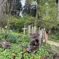 Jardin_Maison_Nature_Arbre_GPSO©Arp-Astrance_2023 (7).JPG