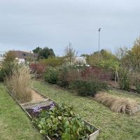 Jardin_Maison_Vegetal_Plante_&amp;amp;_Cite©Arp-Astrance_2022 (1).JPG