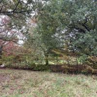 Jardin_Maison_Vegetal_Plante_&amp;amp;_Cite©Arp-Astrance_2022 (13).JPG