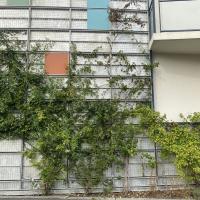 Jardin_Maison_Vegetal_Plante_&amp;amp;_Cite©Arp-Astrance_2022 (21).JPG