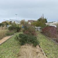 Jardin_Maison_Vegetal_Plante_&amp;amp;_Cite©Arp-Astrance_2022 (3).JPG