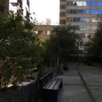 Jardin_Majunga_ParisLaDefense©Arp-Astrance_2022 (2).JPG