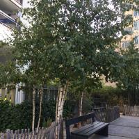 Jardin_Majunga_ParisLaDefense©Arp-Astrance_2022 (3).JPG