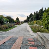 Jardin_Monastere_Cimiez_Nice©Alticime_2021.jpg