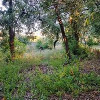 Jardin_Monastere_Cimiez_Nice©Alticime_2021_16.jpg