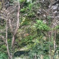 Jardin_Naturoscope_Puteaux©Arp-Astrance_2023 (11).jpg