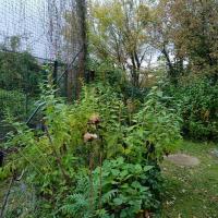 Jardin_Naturoscope_Puteaux©Arp-Astrance_2023 (8).jpg