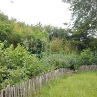 Jardin_Observatoire_Paris©Arp-Astrance_2020 (11).jpg