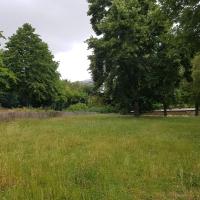 Jardin_Observatoire_Paris©Arp-Astrance_2020 (15).jpg