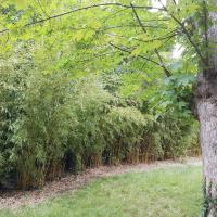 Jardin_Observatoire_Paris©Arp-Astrance_2020 (32).jpg