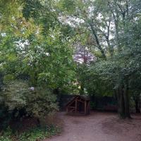 Jardin_Ormeaux_Rennes©Arp-Astrance_2023 (2).jpg