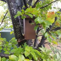 Jardin_Vignes_Puteaux©Arp-Astrance_2020 (25).jpg