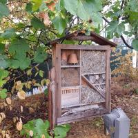 Jardin_Vignes_Puteaux©Arp-Astrance_2020 (26).jpg