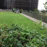 Jardins_Partages_Boieldieu_ParisLaDefense©Arp-Astrance_2022 (3).JPG