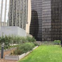 Jardins_Partages_Boieldieu_ParisLaDefense©Arp-Astrance_2022 (5).JPG