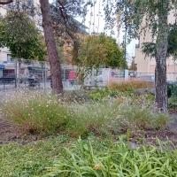 Jean_Lolive_Vaillant_Pantin©Arp-Astrance_2023 (2).jpg