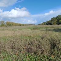 La Garenne_Chateau de Beychevelle.jpg