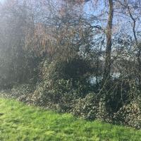 La_Prevalaye_Rennes©Arp-Astrance_2019 (12).JPG