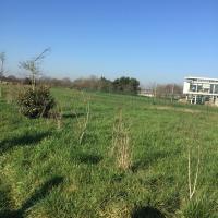 La_Prevalaye_Rennes©Arp-Astrance_2019 (2).JPG