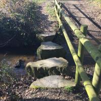 La_Prevalaye_Rennes©Arp-Astrance_2019 (35).JPG