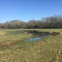 La_Prevalaye_Rennes©Arp-Astrance_2019 (46).JPG