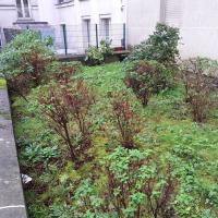 Latouche_Batigere-idf©Arp-Astrance_2023 (13).jpg