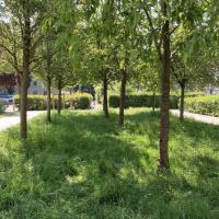 Les_Ecrivains_HDS-Habitat©Arp-Astrance_2023 (11).jpeg