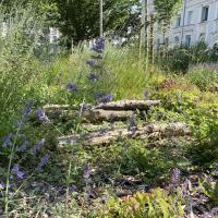 Les_Ecrivains_HDS-Habitat©Arp-Astrance_2023 (7).jpeg