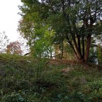 Les_Fauvettes_Batigere-idf©Arp-Astrance_2023 (3).jpeg