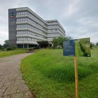 MMaStrasbourg-Urbanesens2024 (1).jpg