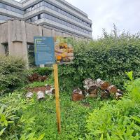 MMaStrasbourg-Urbanesens2024 (4).jpg