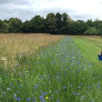 Manoir_Kernault_CDF©Arp-Astrance_2020 (34).JPG