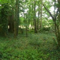 Manoir_Kernault_CDF©Arp-Astrance_2020 (64).JPG