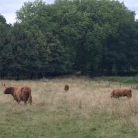 Manoir_Kernault_CDF©Arp-Astrance_2020 (7).JPG