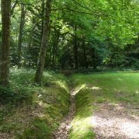 Manoir_Kernault_CDF©Arp-Astrance_2020 (99).JPG